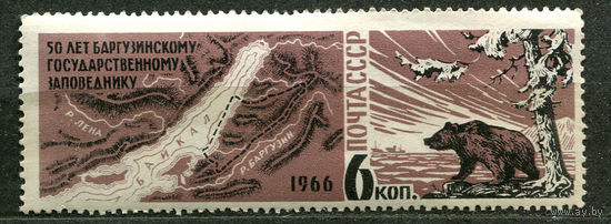 Баргузинский заповедник. Медведь. 1966. Чистая