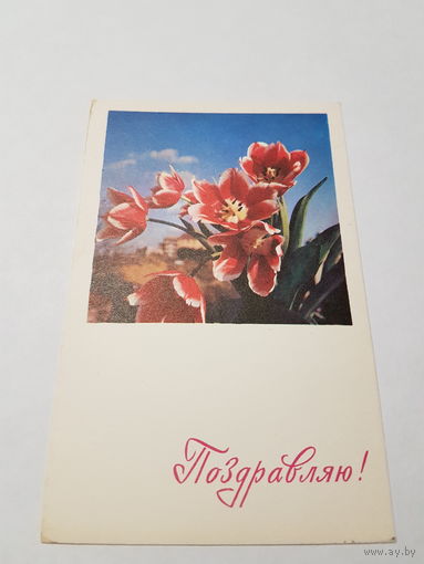 Открытка Поздравляю 1967 г.