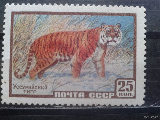 1959, Уссурийский тигр**