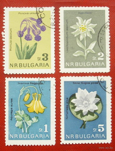 Болгария. Цветы. ( 4 марки ) 1963 года. 8-14.