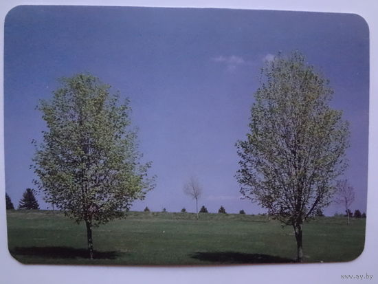 Календарик 1997 г. Белавиа.