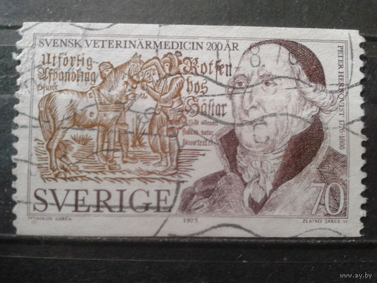 Швеция 1975 Ветеринар