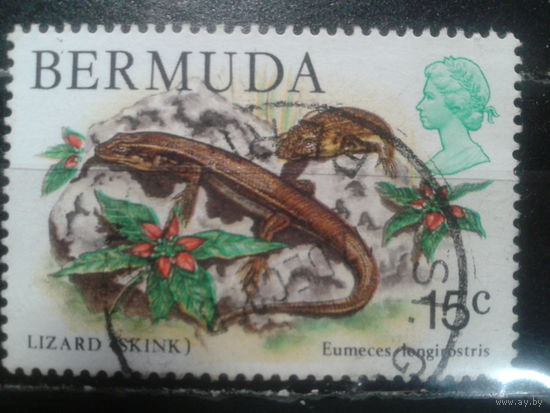 Бермуды, колония Англии, 1979. Ящерица Сцинк