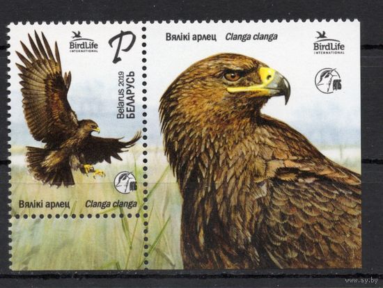 Беларусь 2019.Птица года Орел 1марка+купон (1009)