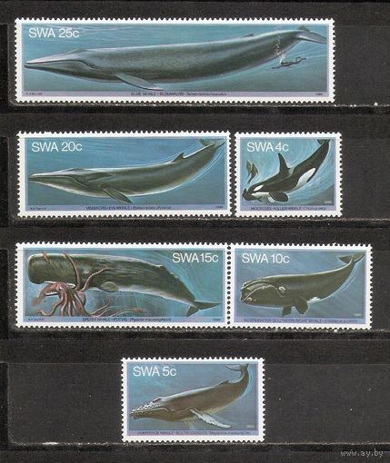 ФФ1 SWA 1980 Киты