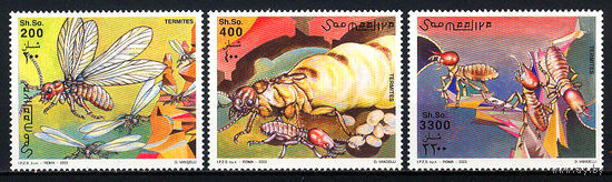 2003 Сомали. Термиты