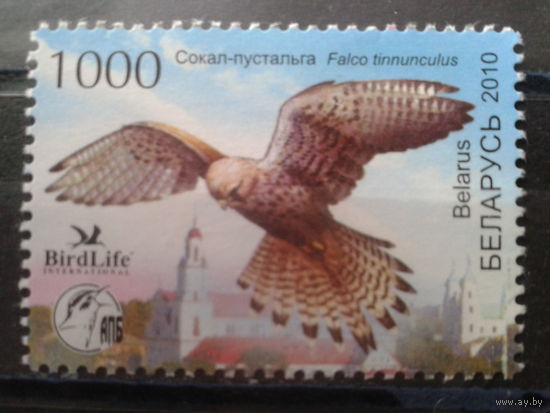 2010 Сокол**