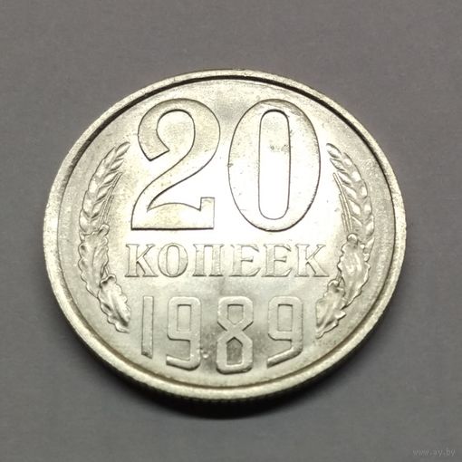 20 копеек 1989 #5