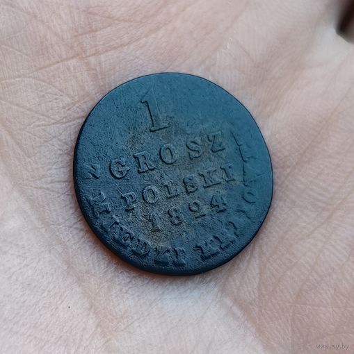 1 грош из меди краевой 1824 г.
