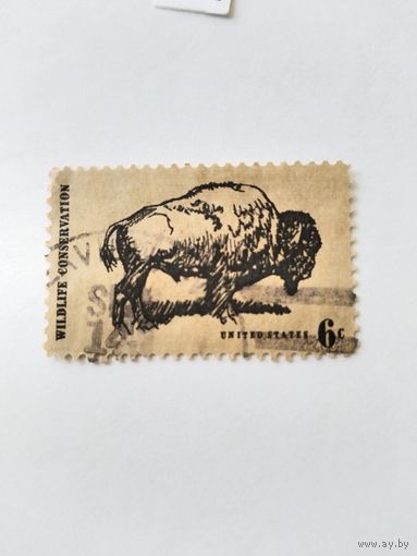 США  1970  бизон