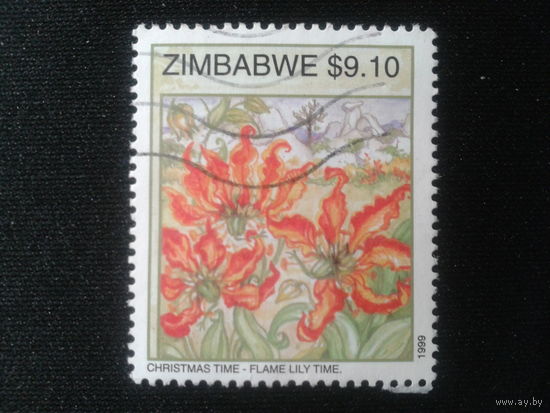 Зимбабве, 1999. Пламенная лилия