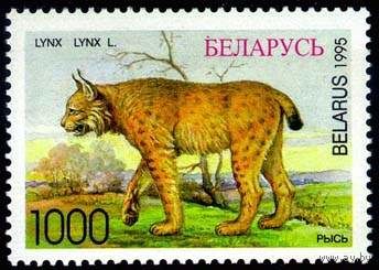 Марки "Рысь. 1000", "Косуля. 2000", "Медведь бурый. 2000", "Лось. 3000", "Зубр беловежский. 5000"