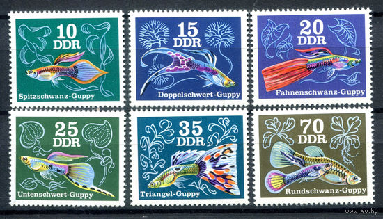 ГДР - 1976г. - Аквариумные рыбки. Гуппи - 6 марок - полная серия, MNH [Mi 2176-2181]. #O-Se-Z-1-35