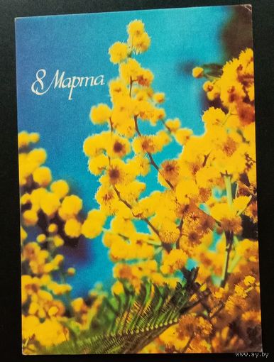 8 Марта Фото В. Панов 1986 Подписанная