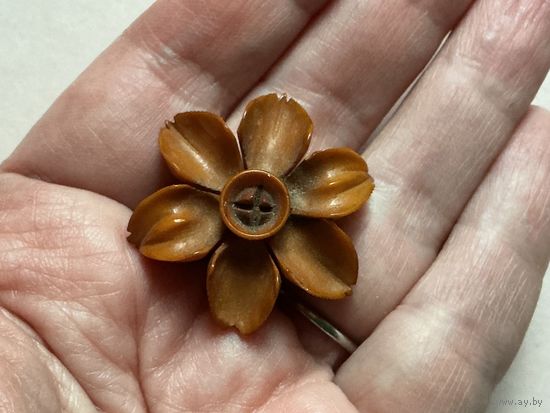 Брошь Антикварная Нарцисс Бакелит Англия до 1900 -х