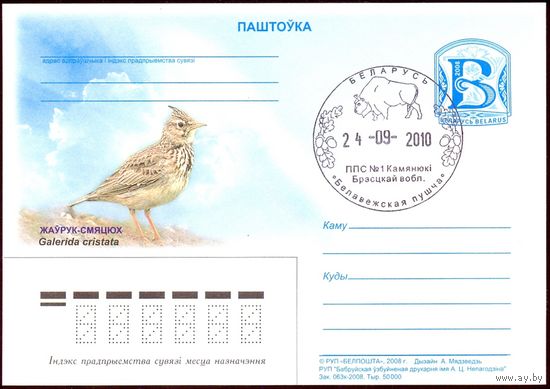 Беларусь 2008 ПК с "В" фауна птицы гашение "Беловежская пуща" зубр