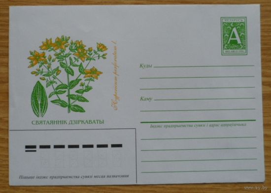 Беларусь 1996 флора святаянник