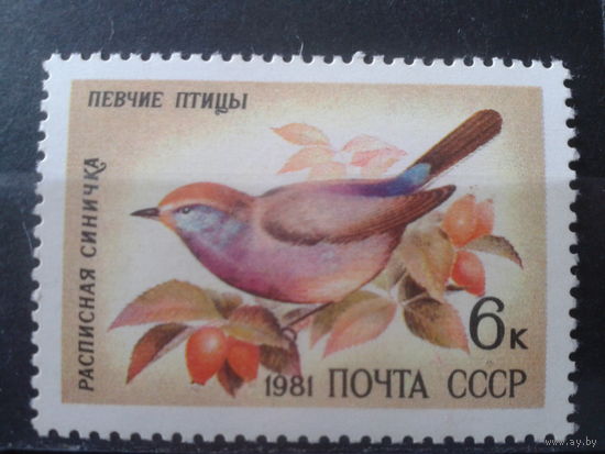 1981 Синица**