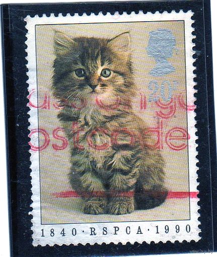 Великобритания.Ми-1245.Котенок (Felis silvestris catus) Серия: 150-летие Р.С.П.А.А.1990.
