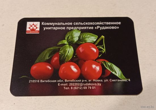Карманный календарик "Рудаково". 2024 г.