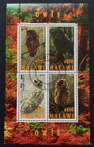 ЛИСТ ФАУНА животные  СТО