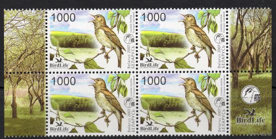 Беларусь 2007. Птица года. Соловей квартблок (380)
