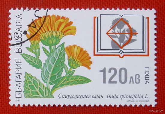 Болгария. Цветы. ( 1 марки ) 1997 года.