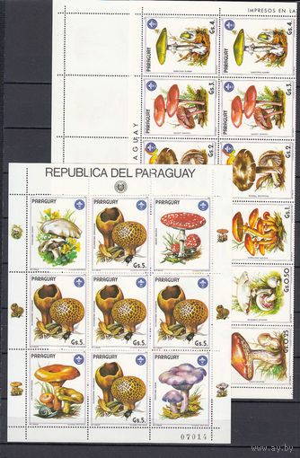 Флора. Грибы. Парагвай. 1985. 1 полный лист из 5-ти серий и 1 малый лист из 5-ти марок с купонами. Michel N 3825-3841 (90,0 е)