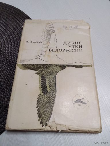 Дикие утки Белоруссии. / 9