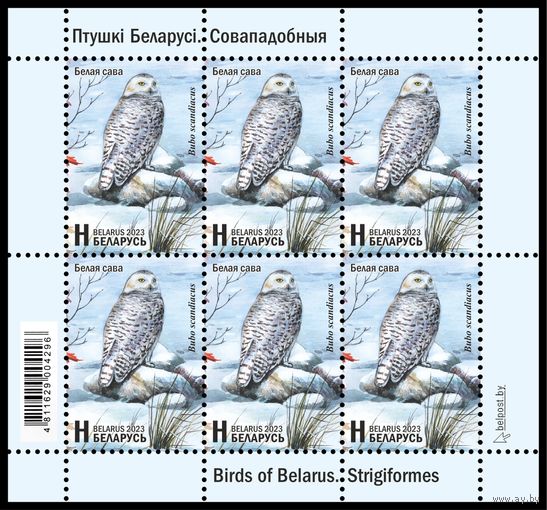 2023 БЕЛАРУСЬ Малый лист "Птицы Беларуси. Совообразные"  MNH