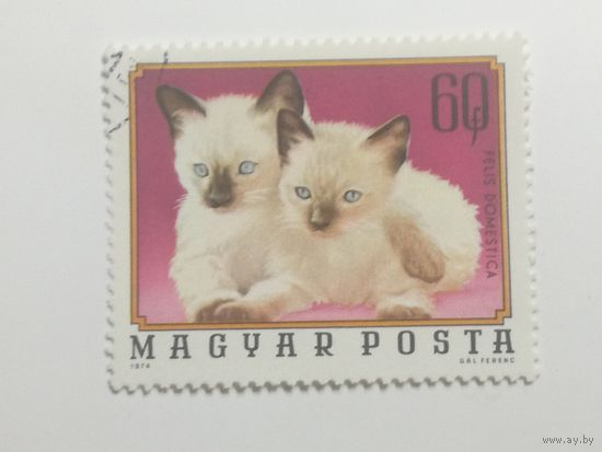 Венгрия 1974. Животные