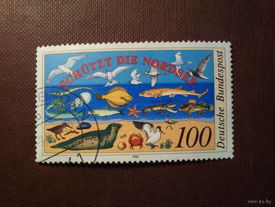 Германия 1990 г.Фауна Северного моря ./1а/
