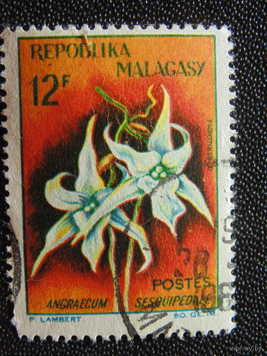 Мадагаскар. Флора.