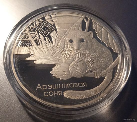 Свіцязянскі серии Заказнікі Беларусі, Заказник Свитязянский. Орешниковая соня. 1 рубль.