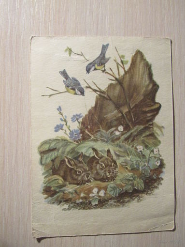 Летним днём, играя в прятки. Худ. Фролов. 1957г. Стихи Эппеля.
