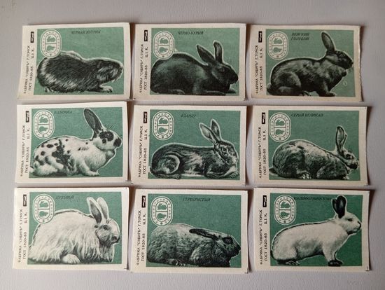 Спичечные этикетки ф.Белка. Роскроликозверовод. 1988 год