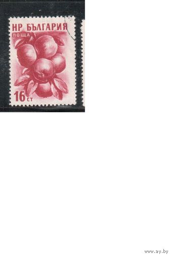 Болгария-1956, (Мих.984),   гаш. , Фрукты,(1)