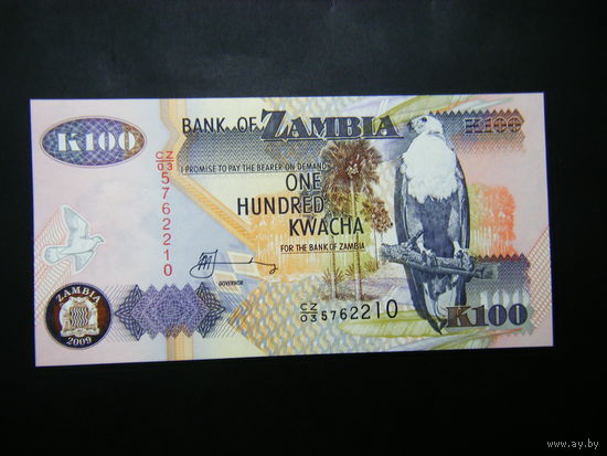 Замбия 100 квача 2009г. UNC.