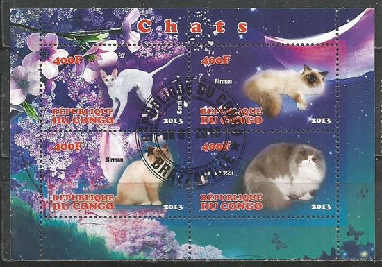 Конго(Республика). Кошки. 2013г. Блок.
