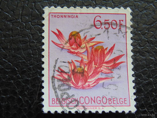 Бельгийское Конго 1952 г.  Флора.