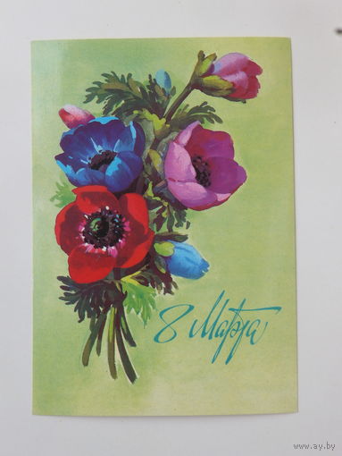 Куртенко  8 марта 1985  10х15 см