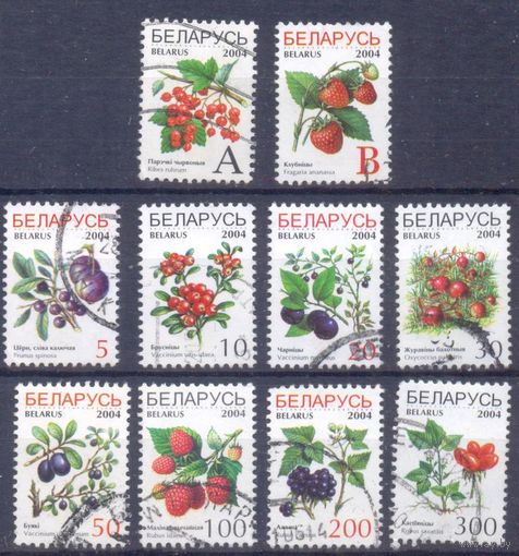 Беларусь стандарт ягоды