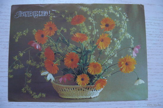 Толмачев А., Поздравляю! 1984, подписана.