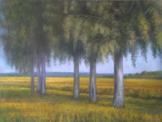 Картина "Березы в вечерних лучах". -Мельник К. В.