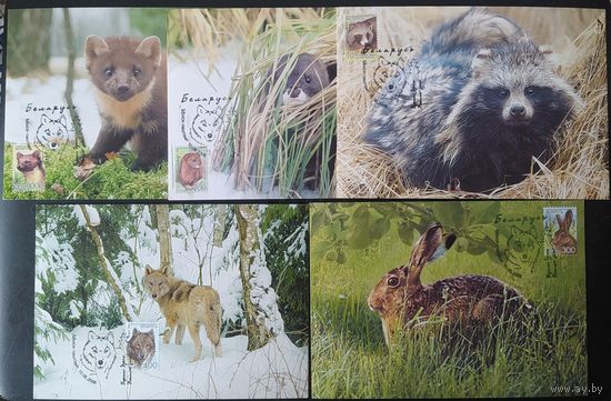 Беларусь 2008 КМ животные станларт