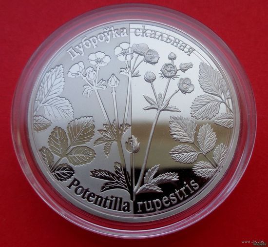 ТОРГ! 1 рубль Лапчатка скальная. 2017! ВОЗМОЖЕН ОБМЕН!