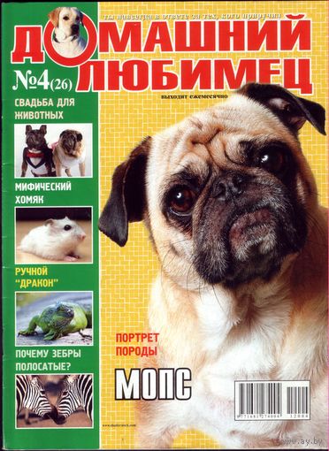 Домашний любимец #26