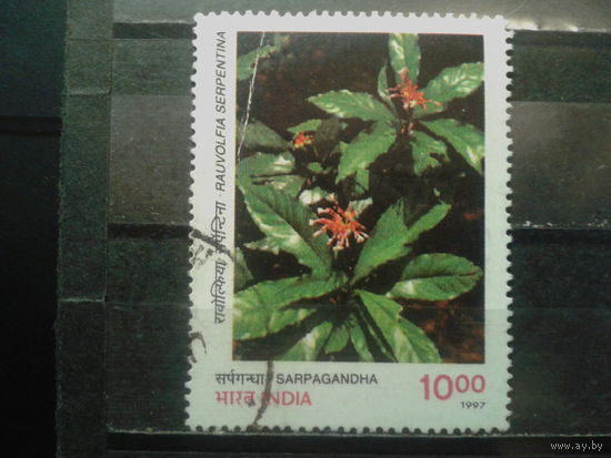 Индия 1997 Цветы