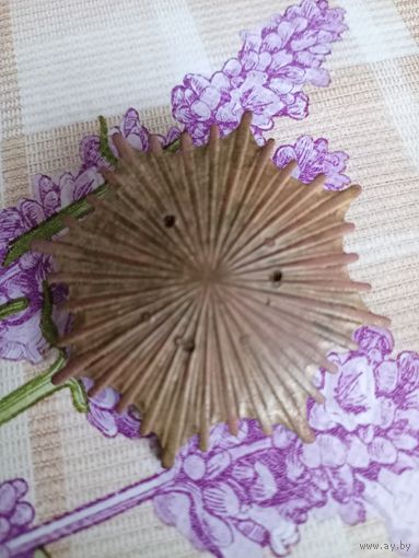 Часть полкового знака 1го полка лёгкой кавалерия Пилсудского