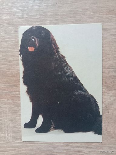 Календарик 1992-1993